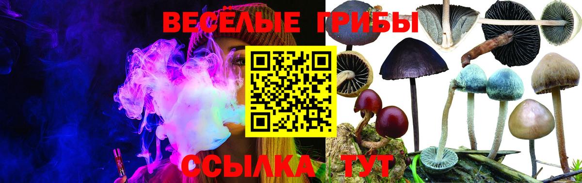 Псилоцибиновые грибы Magic Shrooms  Вход с VPN  Северобайкальск 